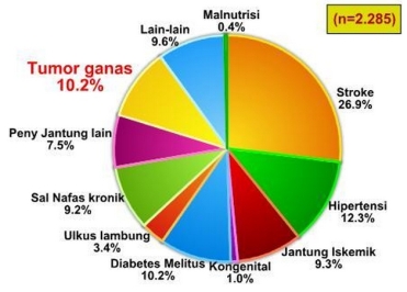  TUGAS Kanker Jenis Kanker di Indonesia Meonk s Blog